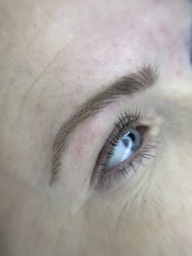 Nano hairstroke brows close-up