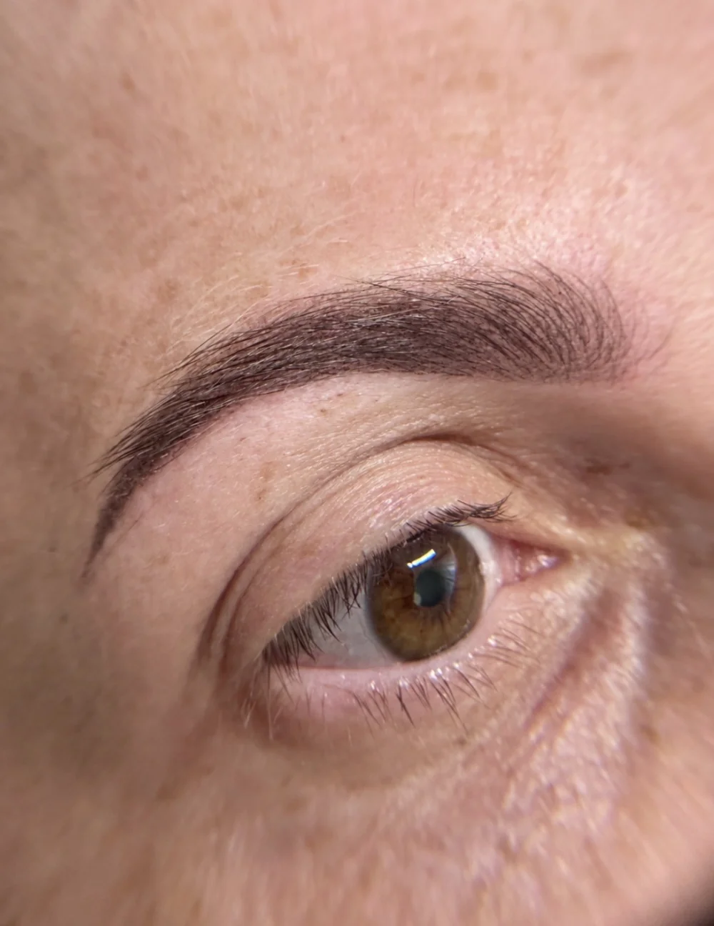 Ombre powder brows close-up